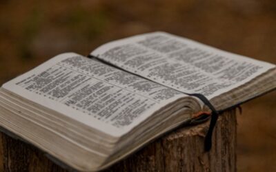 BASES PEDAGÓGICAS y LÚDICAS PARA CATEQUISTAS