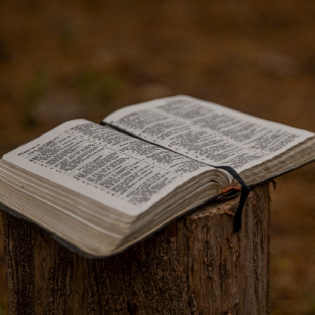 BASES PEDAGÓGICAS y LÚDICAS PARA CATEQUISTAS
